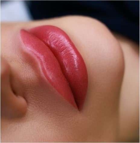 Hidragloss Lips